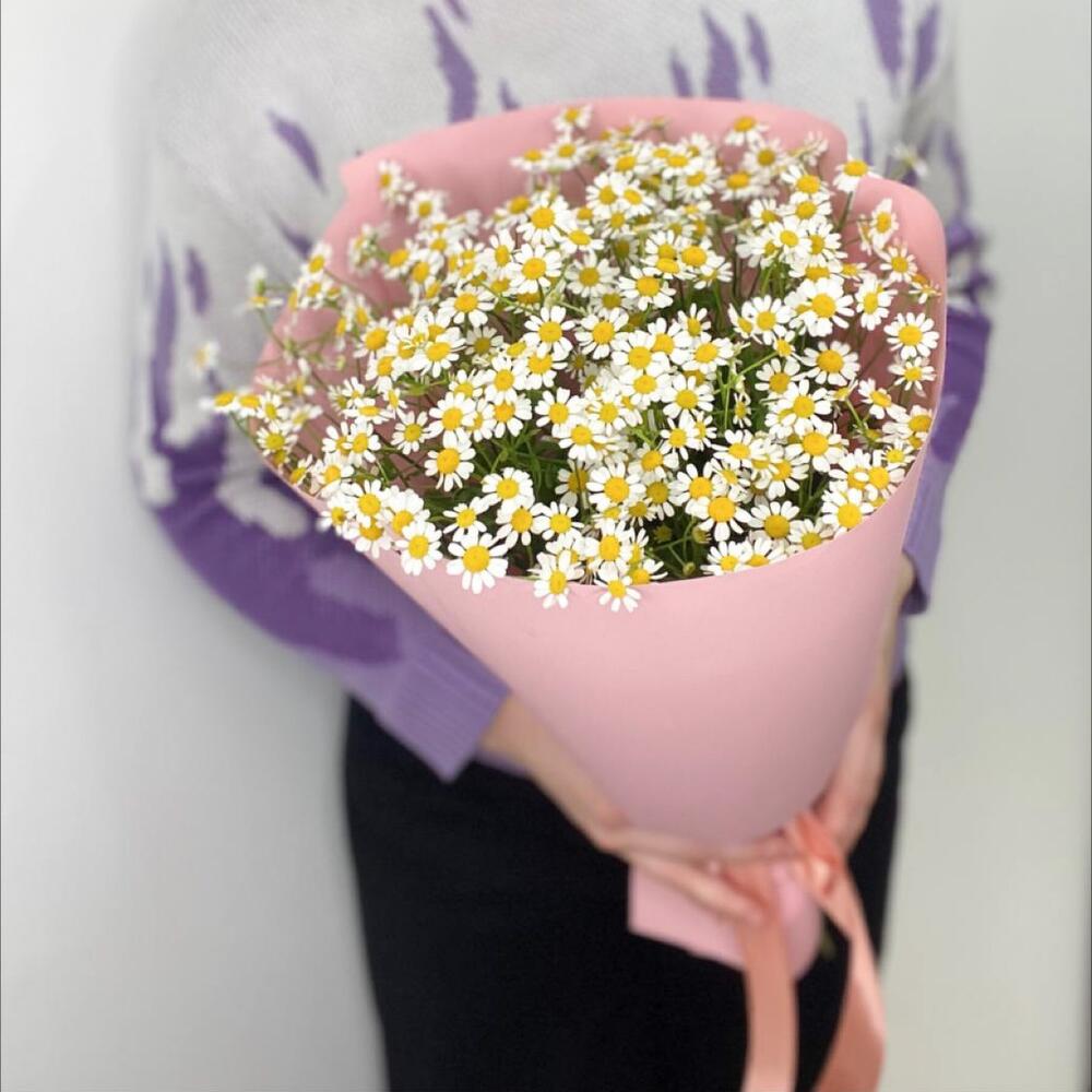 Хризантемы Сантини - ромашки Хризантемы Сантини - ромашки